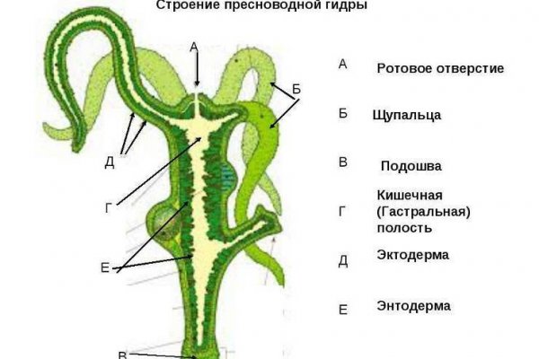 Кракен сайт kr2web in официальный ссылка